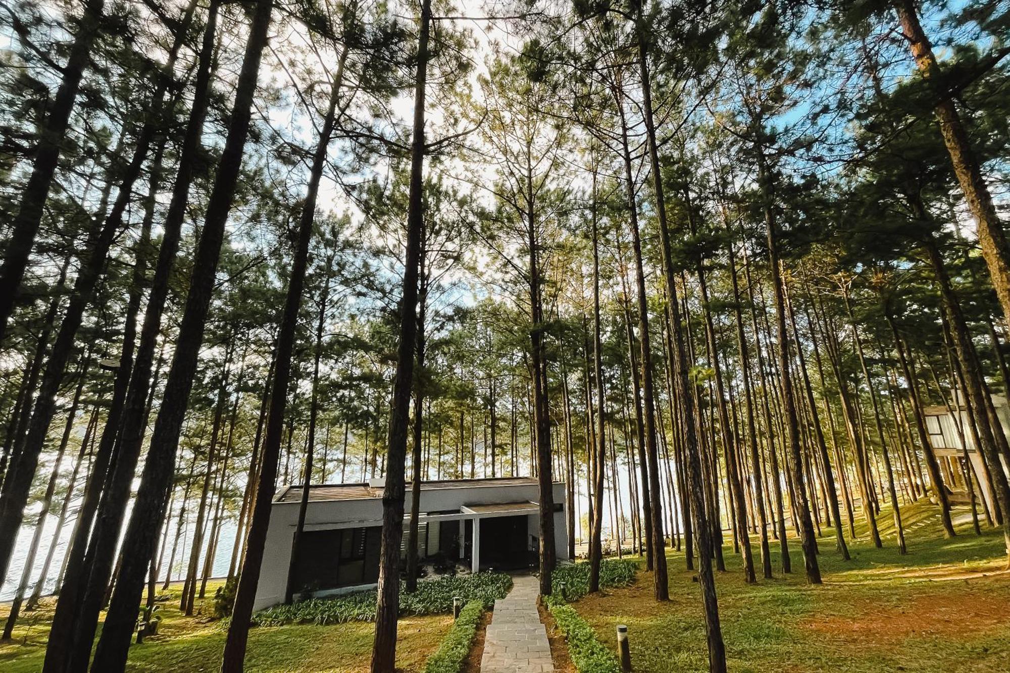 Terracotta Hotel & Resort Dalat Exterior foto